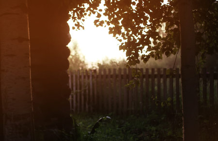 various objects of the summer season in the best of this wonderful periodの写真素材