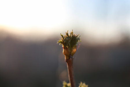 various objects of the spring season in the best of this wonderful period