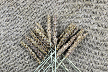a bouquet of dried rye ears of which makes the bread on the background