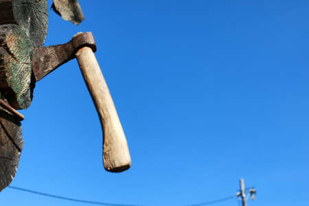 various objects of the spring season in the best of this wonderful periodの写真素材