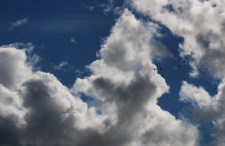 various objects of the summer season in the best of this wonderful periodの写真素材