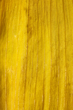 various objects of the summer season in the best of this wonderful periodの写真素材