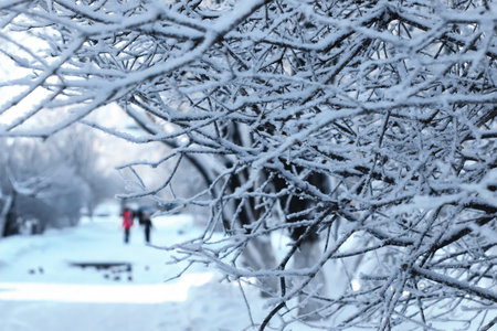 various objects of the winter season and lanscape in the best of this wonderful period