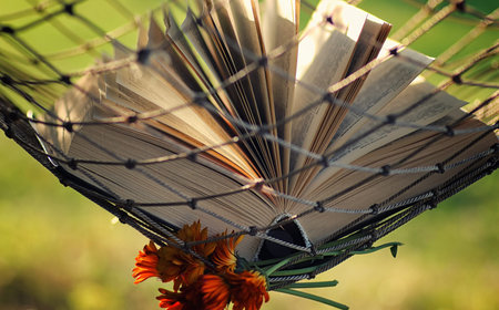 various objects of the summer season in the best of this wonderful periodの写真素材