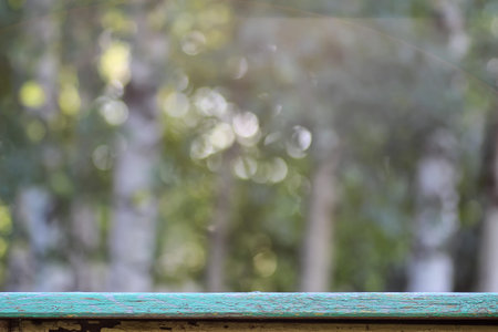 different objects on a wooden table on a background of blurred summer foliageの写真素材