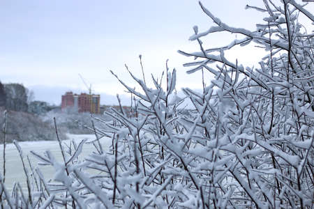 various objects of the winter season and lanscape in the best of this wonderful periodの写真素材