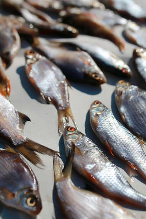 fish prepared on a rope for the impact of traditional food and snacks peoples of the northの写真素材