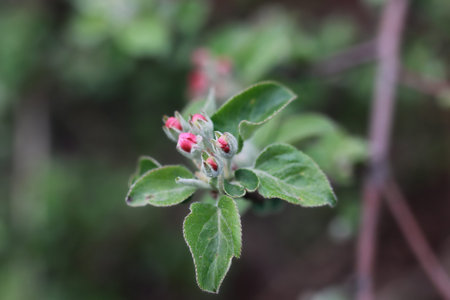 various objects of the spring season in the best of this wonderful period