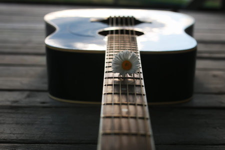 guitar acoustic black glossy six-string playing in nature