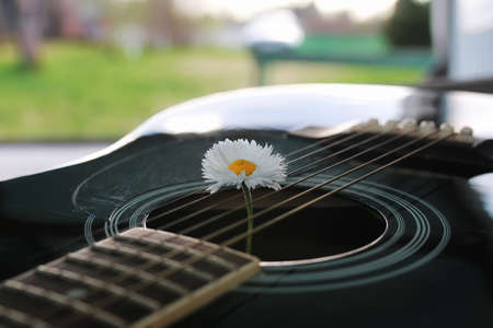 guitar acoustic black glossy six-string playing in natureの写真素材
