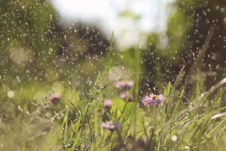various objects of the summer season in the best of this wonderful periodの写真素材
