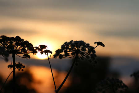 Vintage objects in the composition of the concept of nostalgia of the pastの写真素材