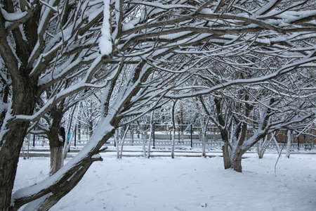 various objects of the winter season and lanscape in the best of this wonderful periodの写真素材