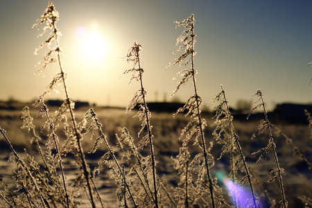 various objects of the winter season and lanscape in the best of this wonderful periodの写真素材