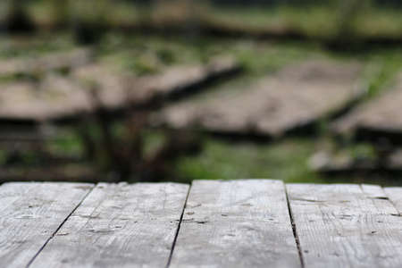 various objects of the spring season in the best of this wonderful periodの写真素材