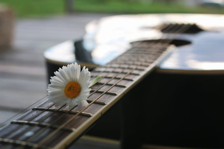 guitar acoustic black glossy six-string playing in nature