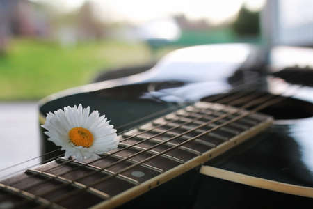 guitar acoustic black glossy six-string playing in natureの写真素材