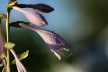 various objects of the summer season in the best of this wonderful periodの写真素材
