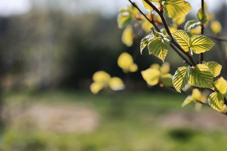 various objects of the summer season in the best of this wonderful period