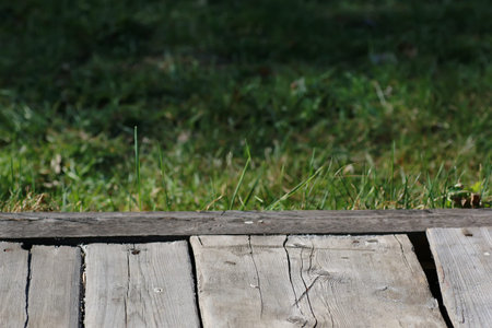 various objects of the summer season in the best of this wonderful periodの写真素材