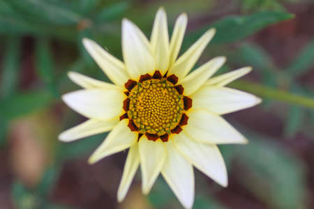 various objects of the summer season in the best of this wonderful periodの写真素材