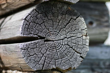 various objects of the summer season in the best of this wonderful periodの写真素材