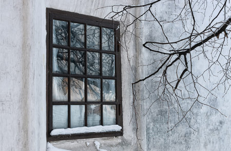 various objects of the winter season and lanscape in the best of this wonderful period