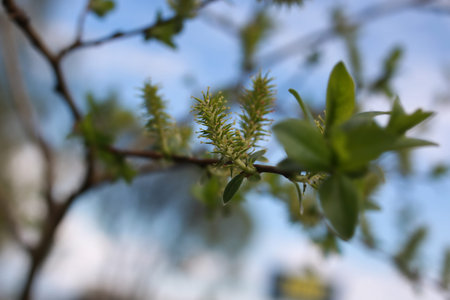various objects of the spring season in the best of this wonderful period