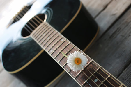 guitar acoustic black glossy six-string playing in natureの写真素材