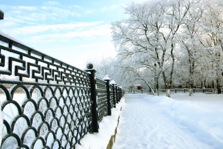 fence covered snow winter parkの写真素材