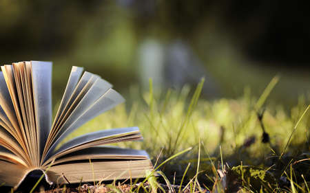 various objects of the summer season in the best of this wonderful periodの写真素材