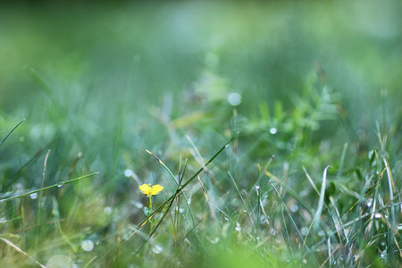 various objects of the summer season in the best of this wonderful periodの写真素材