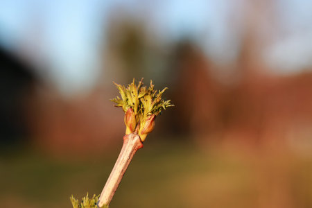 various objects of the spring season in the best of this wonderful period