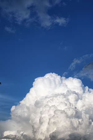 various objects of the summer season in the best of this wonderful periodの写真素材