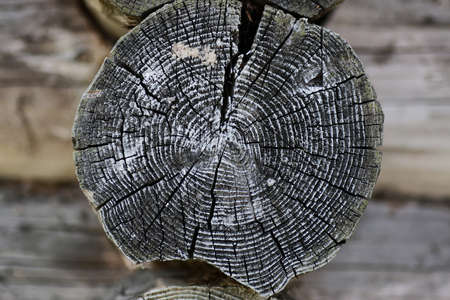 various objects of the summer season in the best of this wonderful periodの写真素材