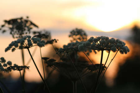 Vintage objects in the composition of the concept of nostalgia of the pastの写真素材