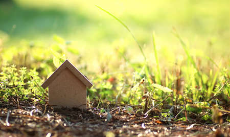 various objects of the summer season in the best of this wonderful periodの写真素材