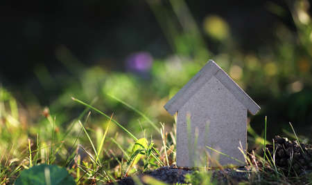 various objects of the summer season in the best of this wonderful periodの写真素材