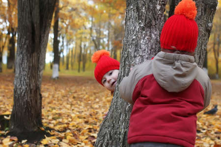 kid in autumn park hidden behind treeの写真素材