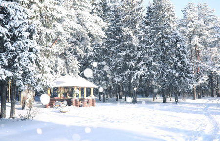 wooden gazebo in forest in the winter snow blizzard