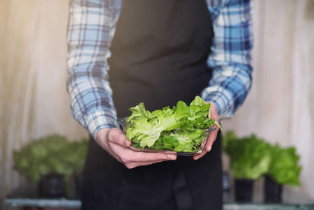 bearded man in apron and gloves holds a bowl of fresh green saladの写真素材