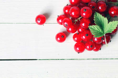 red currant berry backgroundの写真素材