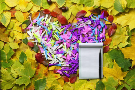 autumn leaves background with empty paperの写真素材