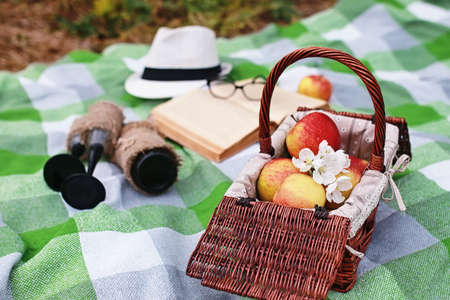 book and basket with food on plaid picnic in parkの写真素材
