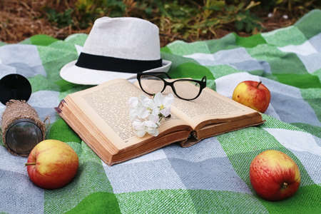 book and basket with food on plaid picnic in parkの写真素材