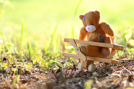 alone toy on the groundの写真素材