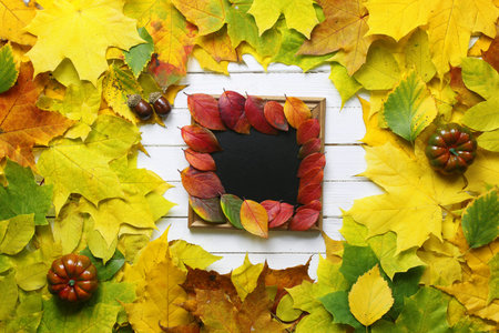 autumn leaves background shape roundの写真素材