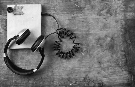 concept of listening to audio books in the learning processの写真素材