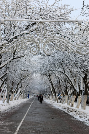 various objects of the winter season and lanscape in the best of this wonderful periodの写真素材
