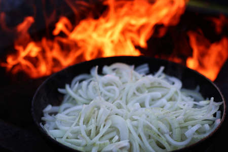 onion fry on fire outdoors in summerの写真素材